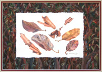 Madrone Bark and Leaves
